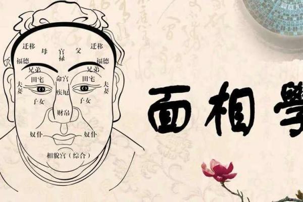 面相学基础：如何通过面相预测性格和运势
