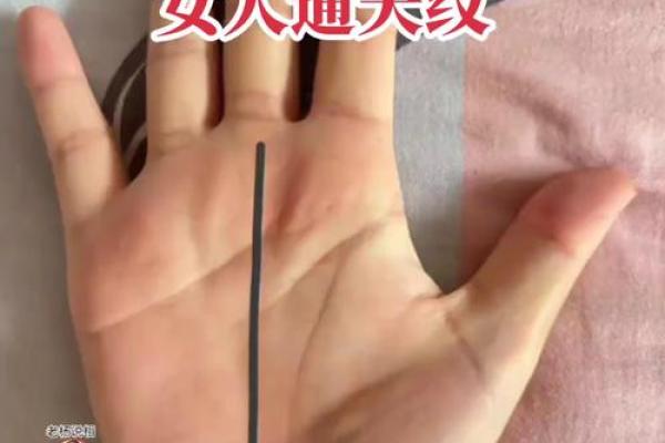 揭开通天纹手相的神秘面纱，发现你的人生指引