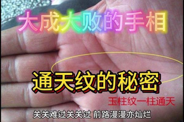 揭开通天纹手相的神秘面纱，发现你的人生指引