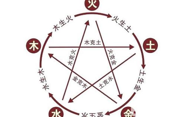 猫命理中的五行与猫咪性格特征探讨