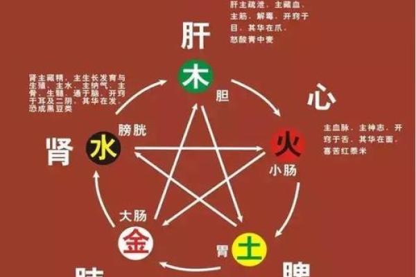 珺字五行属性解析与命理影响
