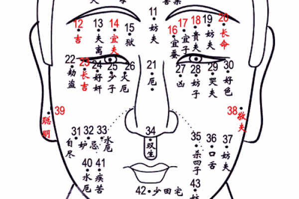 痣相与身体各部位的关系全解指南