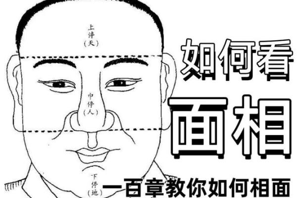 面相图片中的玄机：如何从面部识别隐藏的性格与命运