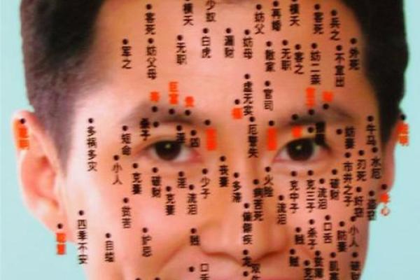 面相图片中的玄机：如何从面部识别隐藏的性格与命运