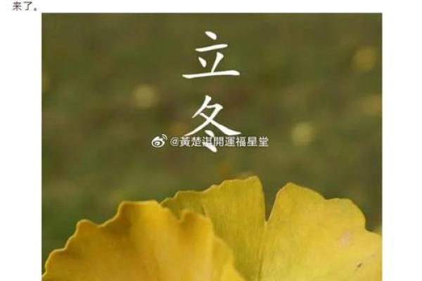如何庆祝立冬？传统与现代的结合