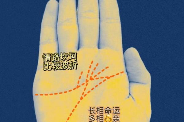 女生右手手相解析与运势预测