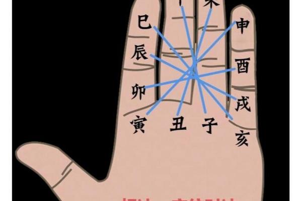 如何理解十二地支在命理中的应用