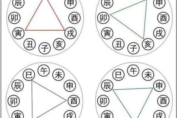 如何理解十二地支在命理中的应用