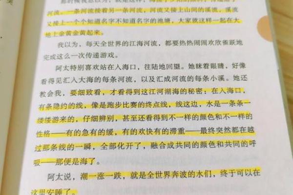 免费生辰八字合婚分析，揭开命运的真相