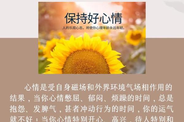 提升财富运势的风水小技巧