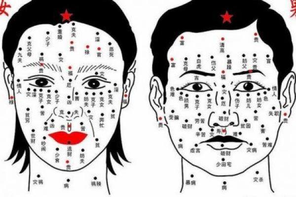 背部痣相与女性运势：从痣的位置看生活走向
