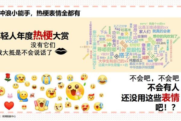 影响微博名字热度的因素及优化策略
