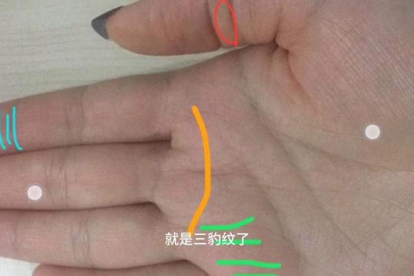 手相学解密：关乎牢狱之灾的手纹特征分析