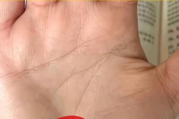 手相学解密：关乎牢狱之灾的手纹特征分析
