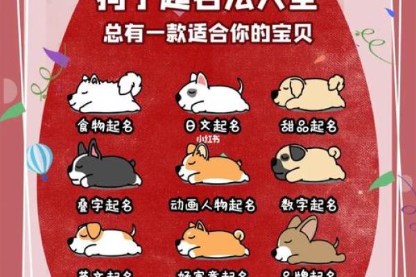 如何为狗宝宝起个既有意义又独特的名字