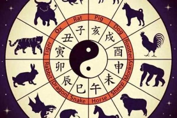 每日星座运势揭秘，助你掌握今日命运