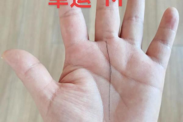 手相中的生命线与命运线揭示了哪些人生秘密