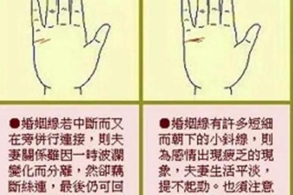 手相中的生命线与命运线揭示了哪些人生秘密