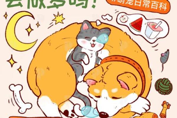 梦见猫代表什么？解析不同梦境中的猫形象