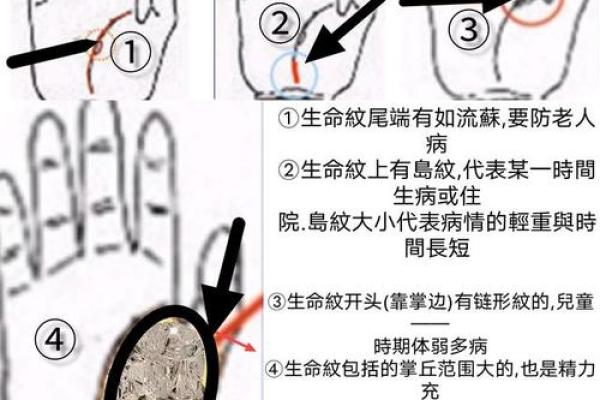 手相生命线短的科学解释与命运关系探讨