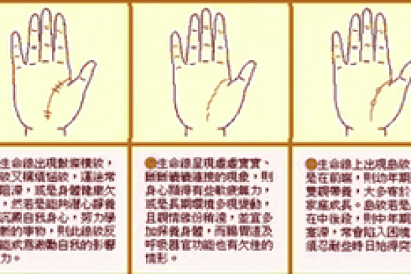 手相生命线短的科学解释与命运关系探讨