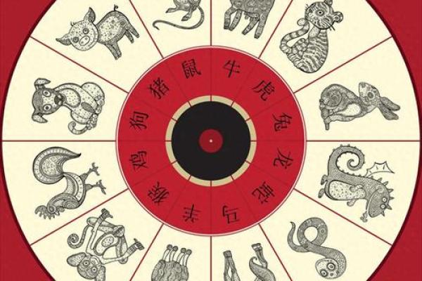 地支与十二生肖的神秘联系：探索命理中的动物象征意义