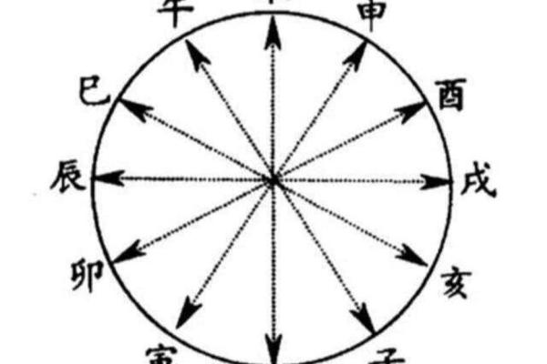 地支与十二生肖的神秘联系：探索命理中的动物象征意义