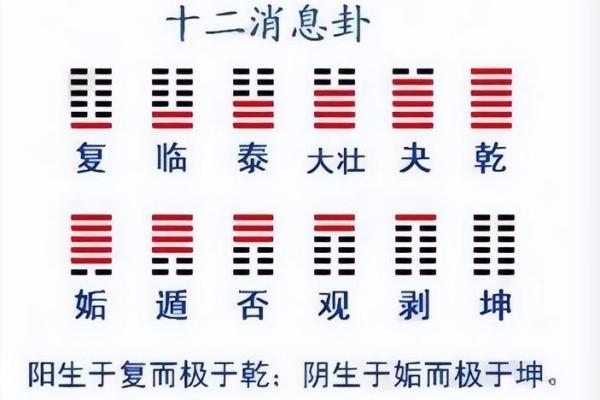 震卦与家居风水：打造活力与和谐的居住空间