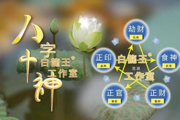 如何通过八字忌神查询找出人生关键运势因素