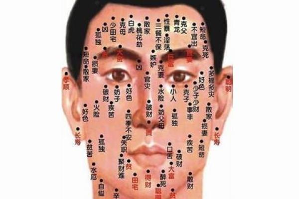 胸前痣相与运势：解析不同位置的命理含义