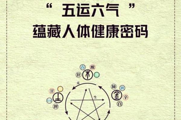 如何利用干地支解析个人运势与命运