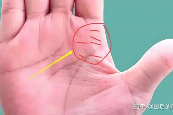 手相能透露你未来的孩子数目吗