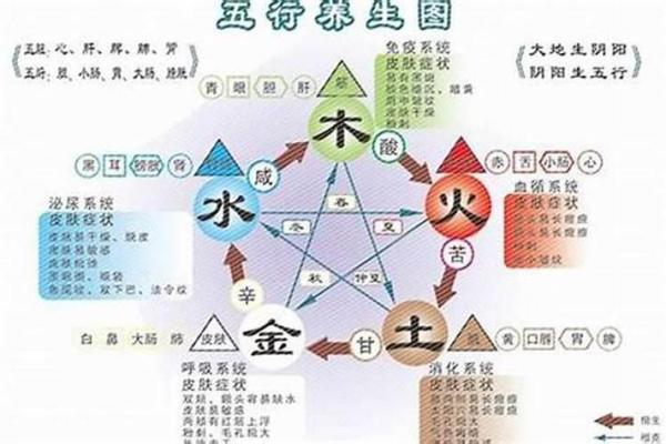命理爱好者必看：张鑫龙博客中的五行与八字知识