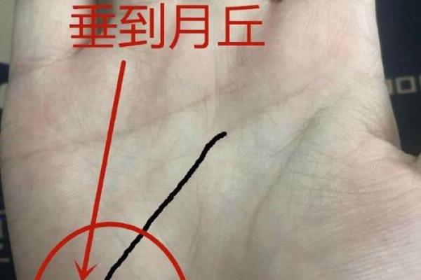 男人手相分析：如何看出他的情感与事业轨迹
