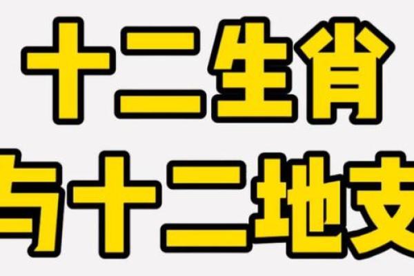 了解十二生肖与地支之间的五行奥秘