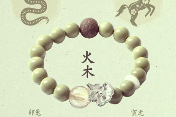 了解十二生肖与地支之间的五行奥秘