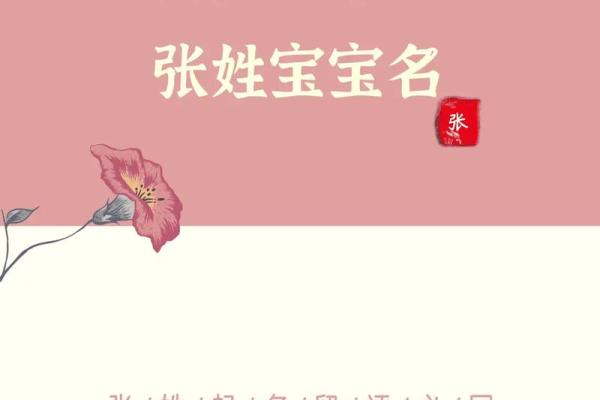 如何为出生的宝宝选择一个寓意深远的名字