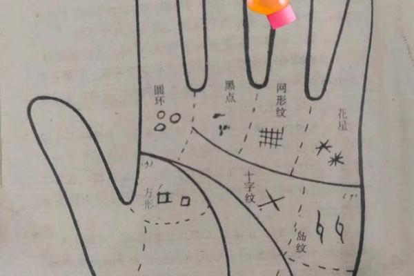 想学看手相？这些快速入门技巧你需要知道