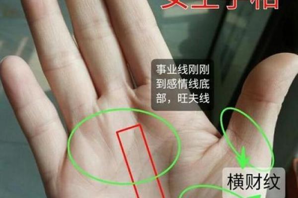 想学看手相？这些快速入门技巧你需要知道