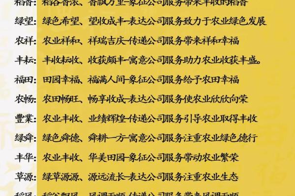 公司名字创意大全助你打造独特品牌形象