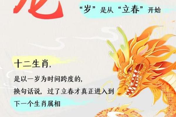 如何解读天干地支中的生肖命运玄机