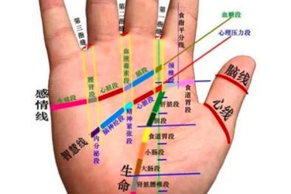 手相图解：如何从女性手掌看出未来趋势