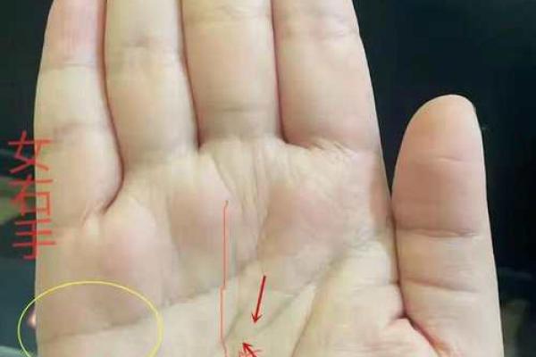 手相图解：如何从女性手掌看出未来趋势