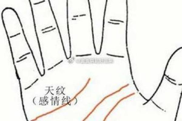 手相学：你的孩子数量能从手掌中预测吗