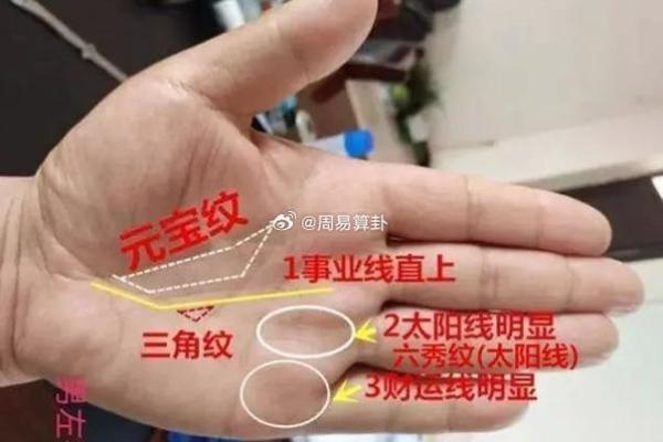 手相学：你的孩子数量能从手掌中预测吗