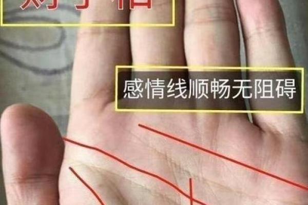 女人手相中的吉兆：识别幸福和富贵的标志
