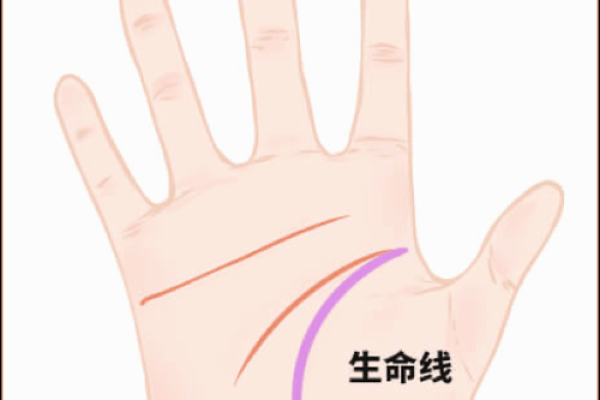 探秘手相：扫一扫让你了解自己的命运轨迹