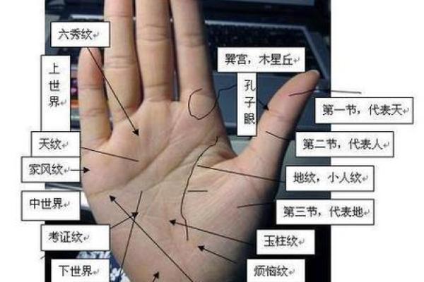 探秘手相：扫一扫让你了解自己的命运轨迹