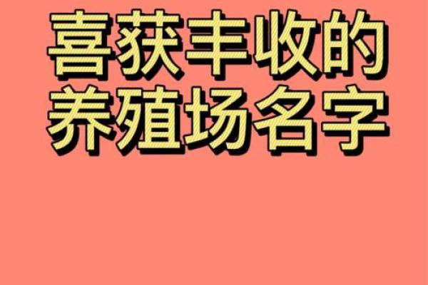 养殖公司创意起名技巧与精选大全