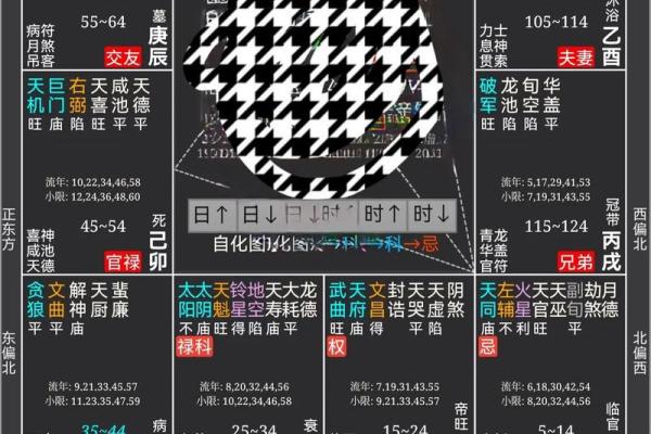 探索八字命理：免费算命为你指点迷津